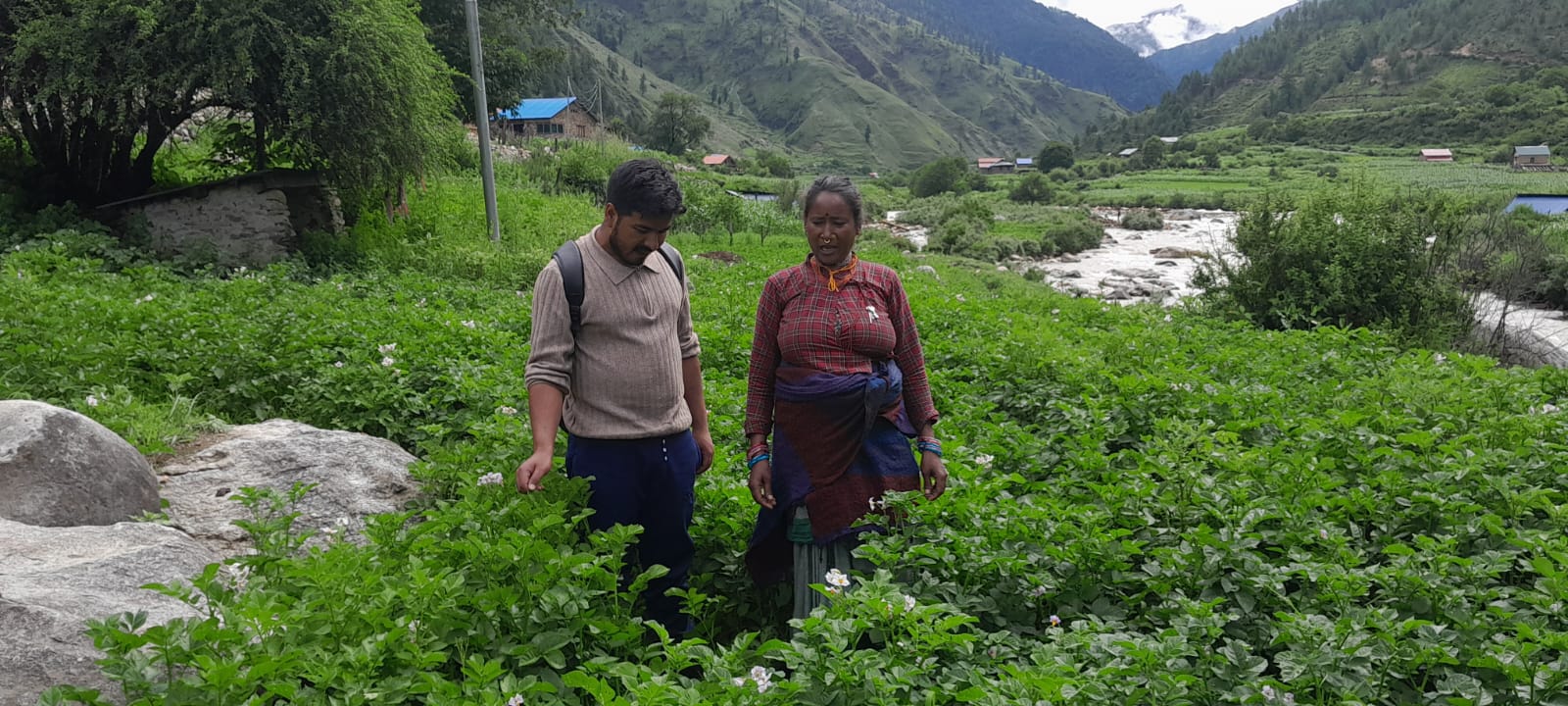 The Sarbodaya Nepal supported to women for growing Potato production in rural area,