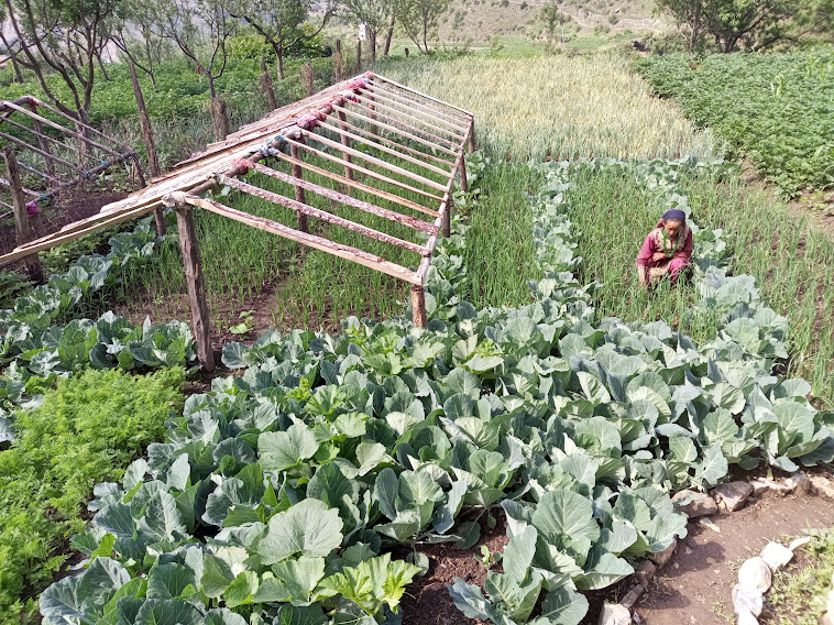 Income generation support to poor womens households for small commercial business